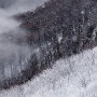 Toujours à la recherche des ambiances hivernales dans la forêt, cette vue sur la forêt de Mery m'a vraiment séduit. Une texture particulière sur la cime des hêtres, le brouillard qui vient lécher les pentes et qqes flocons qui virevoltent devant l'objectif.